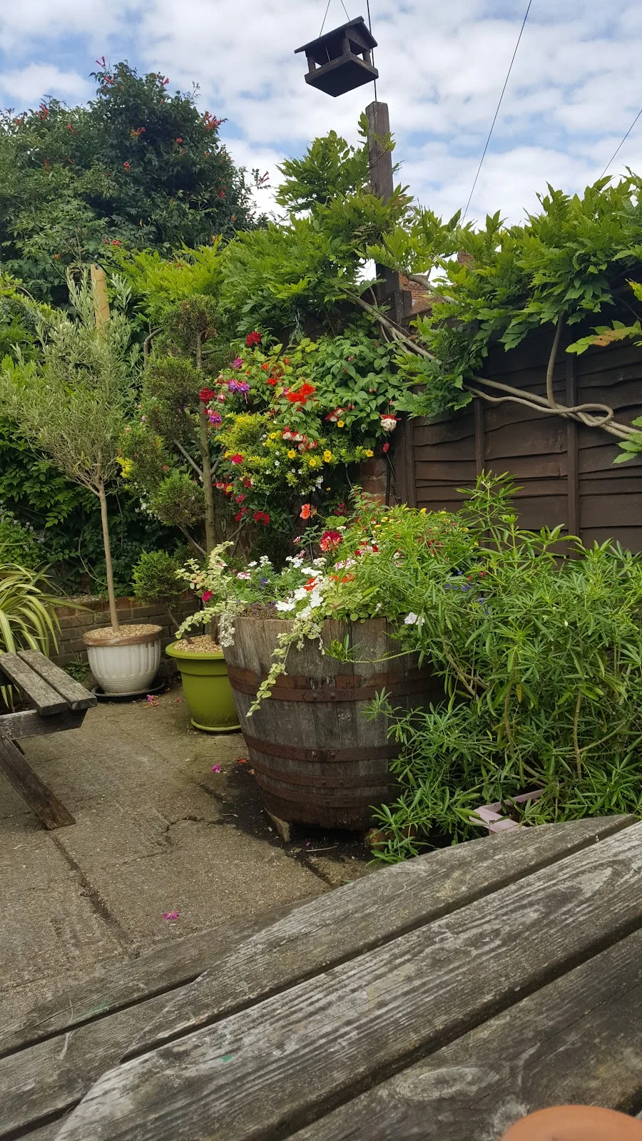 A barrel planter overflowing with summer flowers in the garden at The Robin Hood